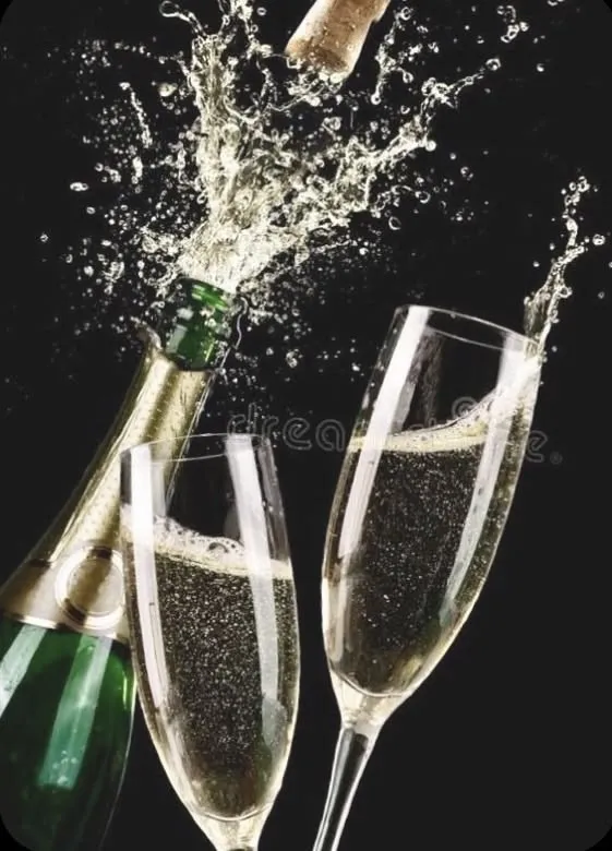 Champagne Captions for Instagram