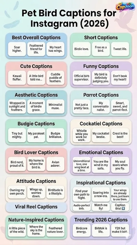 Pet bird captions for Instagram infographic 2026 featuring cute, funny, aesthetic, short, parrot, budgie, and viral caption ideas for social media posts and reels.