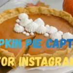 Pumpkin Pie Captions for Instagram