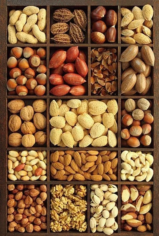 Dry Fruits Captions for Instagram