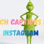 Grinch Captions for Instagram