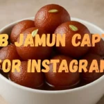 Gulab Jamun Captions for Instagram
