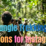 Jungle Trekking Captions for Instagram