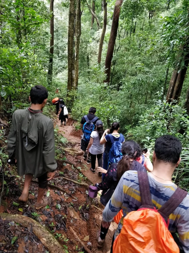 Jungle Trekking Captions for Instagram