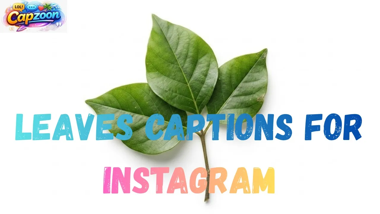 Leaves Captions for Instagram