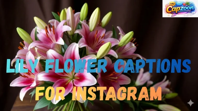 Lily Flower Captions for Instagram