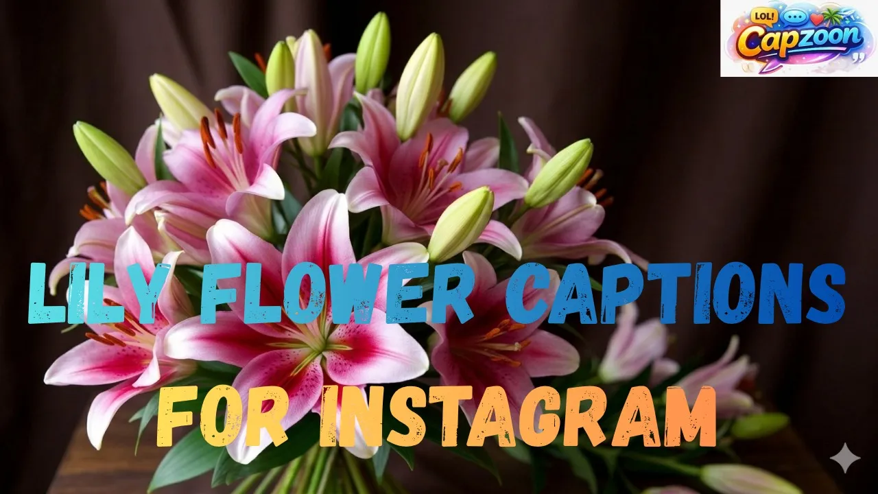 Lily Flower Captions for Instagram