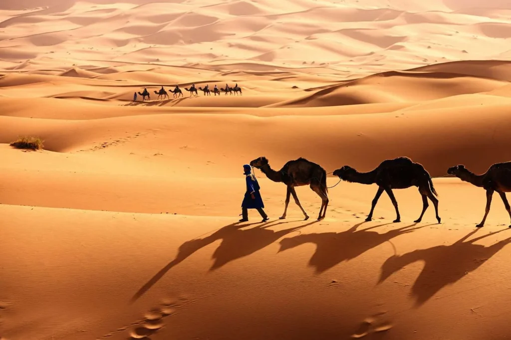 Desert Captions for Instagram