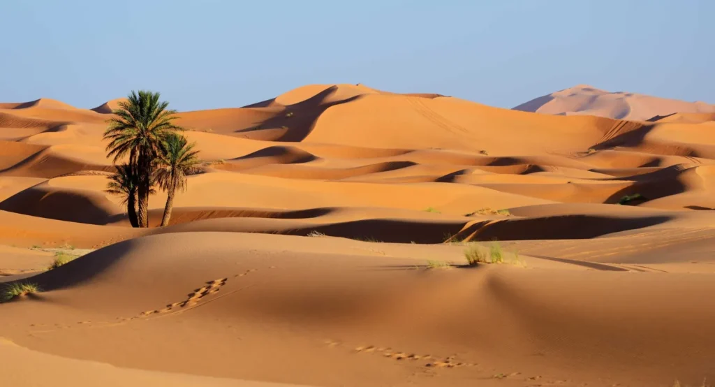 Desert Captions for Instagram