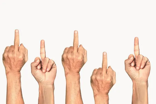 Middle Finger Captions for Instagram