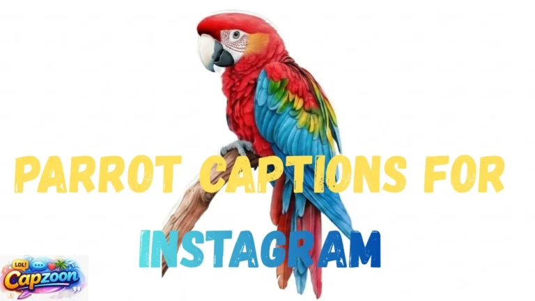 Parrot Captions for Instagram