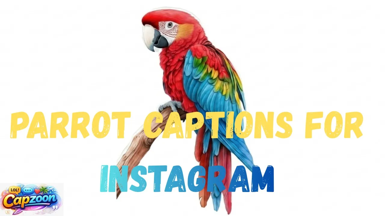 Parrot Captions for Instagram