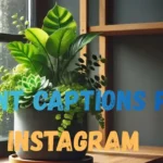 Plant Captions for Instagram