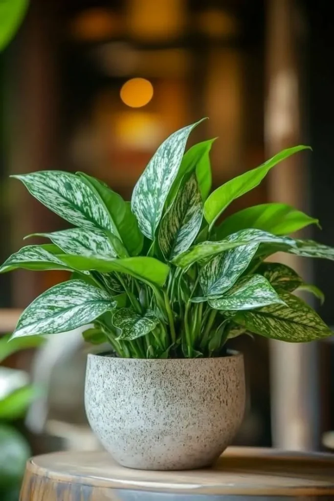 Plant Captions for Instagram