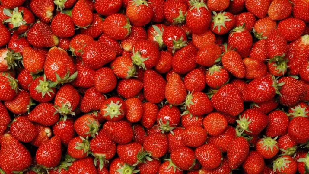Strawberry Picking Captions for Instagram
