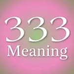 333 Meaning