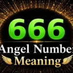 666 Angel Number Meaning