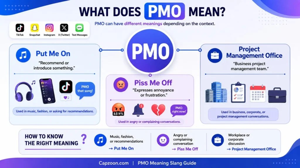 PMO meaning slang infographic showing the meanings of Put Me On, Piss Me Off, and Project Management Office with examples for TikTok, text messages, and business.