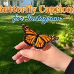 Butterfly Captions for Instagram