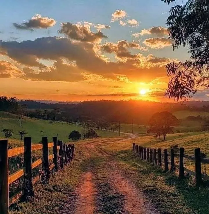 Country Captions for Instagram