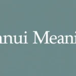 Ennui Meaning