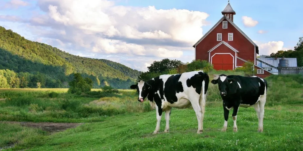 Farm Captions for Instagram