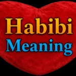 Habibi Meaning