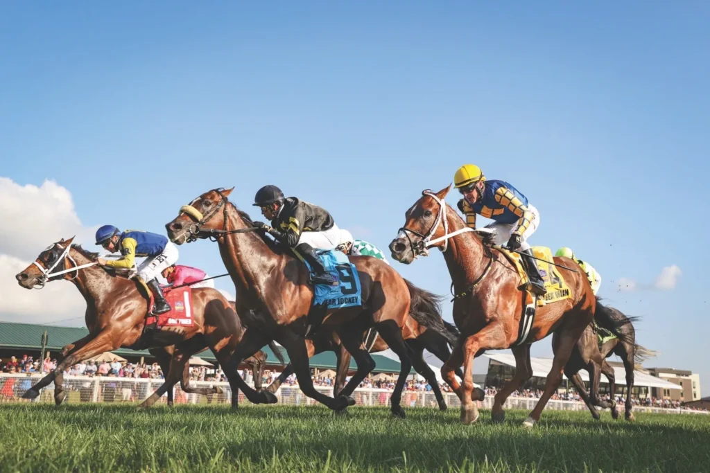 Horse Racing Captions for Instagram