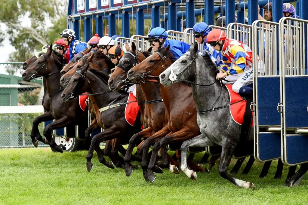Horse Racing Captions for Instagram