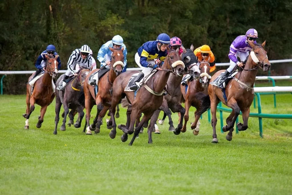 Horse Racing Captions for Instagram