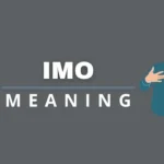 IMO Meaning