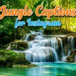 Jungle Captions for Instagram