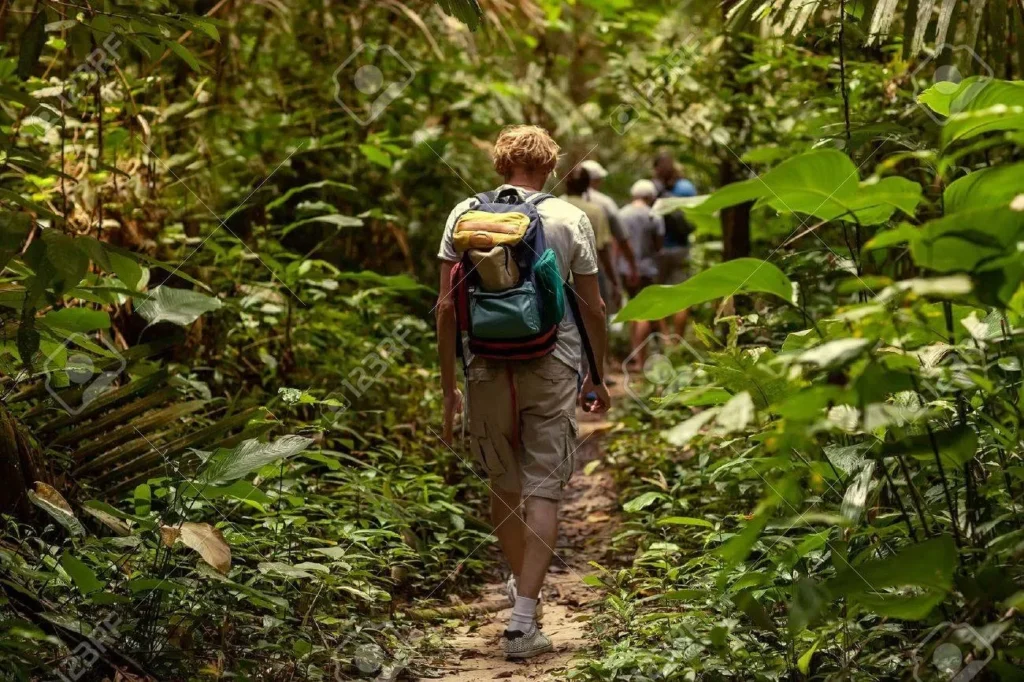 Jungle Captions for Instagram