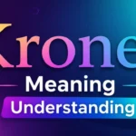 Kroner Meaning Understanding