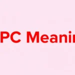 NPC Meaning