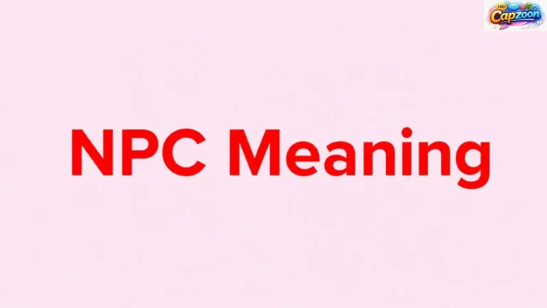 NPC Meaning