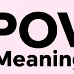 POV Meaning