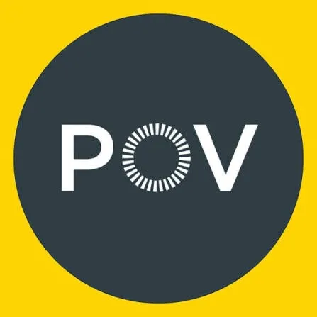 POV Meaning