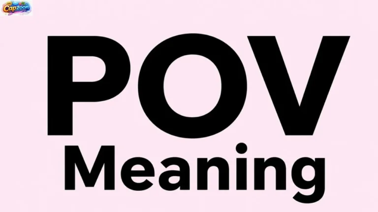 POV Meaning