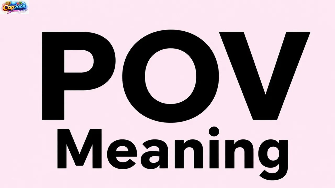 POV Meaning