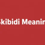 Skibidi Meaning