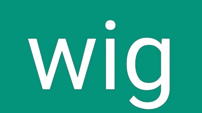 WIG Meaning in Slang