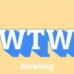 WTW Meaning