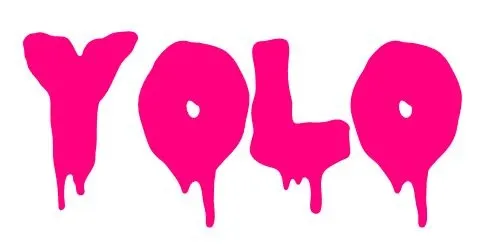 YOLO Captions for Instagram